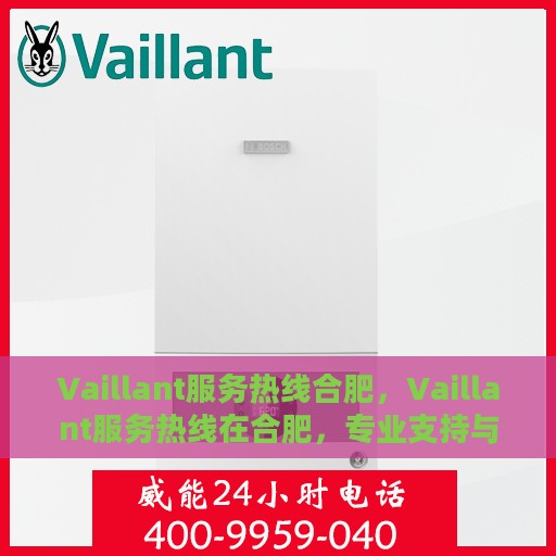 Vaillant服务热线合肥，Vaillant服务热线在合肥，专业支持与解决方案