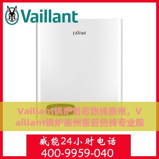 Vaillant锅炉售后热线泰州，Vaillant锅炉泰州售后热线专业服务，解决您的锅炉问题