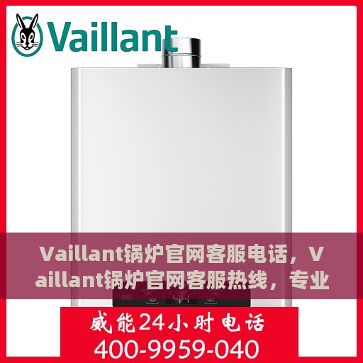Vaillant锅炉官网客服电话，Vaillant锅炉官网客服热线，专业支持与高效服务的连接通道