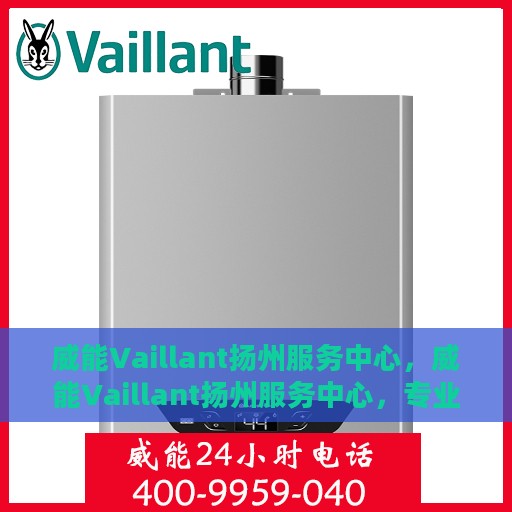 威能Vaillant扬州服务中心，威能Vaillant扬州服务中心，专业维修与一站式服务体验