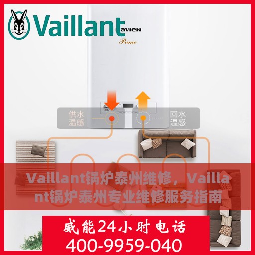 Vaillant锅炉泰州维修，Vaillant锅炉泰州专业维修服务指南