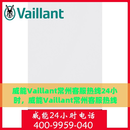 威能Vaillant常州客服热线24小时，威能Vaillant常州客服热线全天候服务支持