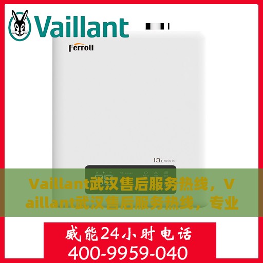 Vaillant武汉售后服务热线，Vaillant武汉售后服务热线，专业解决您的暖气问题，贴心服务温暖江城。