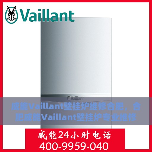 威能Vaillant壁挂炉维修合肥，合肥威能Vaillant壁挂炉专业维修服务