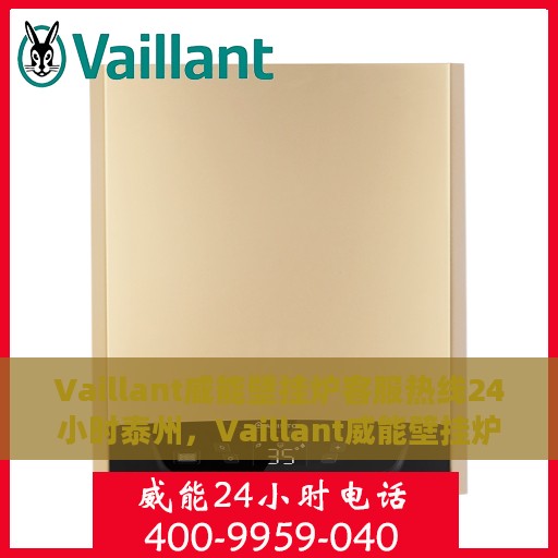 Vaillant威能壁挂炉客服热线24小时泰州，Vaillant威能壁挂炉泰州全天候客服热线，贴心服务随时在线