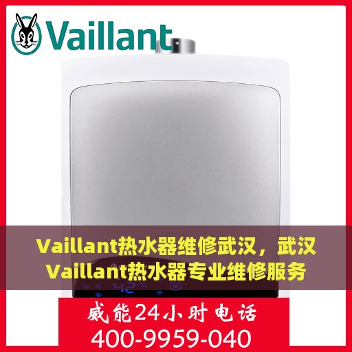 Vaillant热水器维修武汉，武汉Vaillant热水器专业维修服务