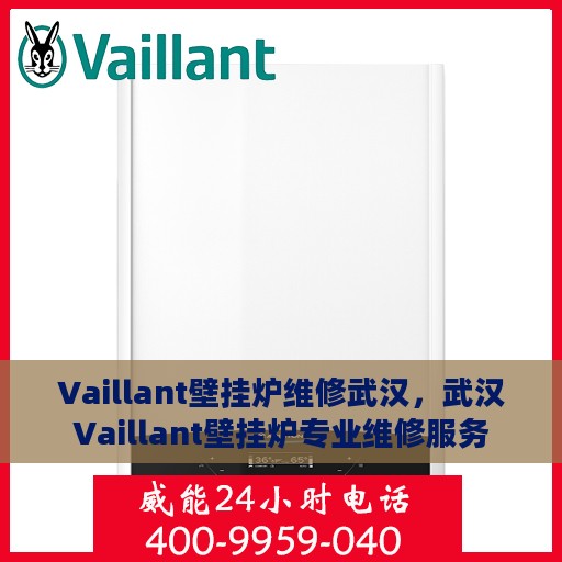 Vaillant壁挂炉维修武汉，武汉Vaillant壁挂炉专业维修服务