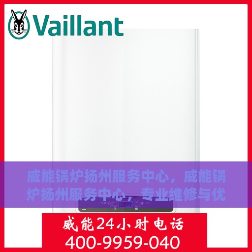 威能锅炉扬州服务中心，威能锅炉扬州服务中心，专业维修与优质服务并重