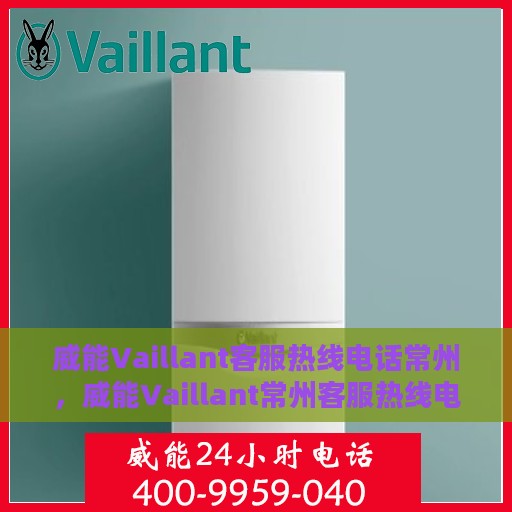 威能Vaillant客服热线电话常州，威能Vaillant常州客服热线电话，专业支持与解决方案的桥梁