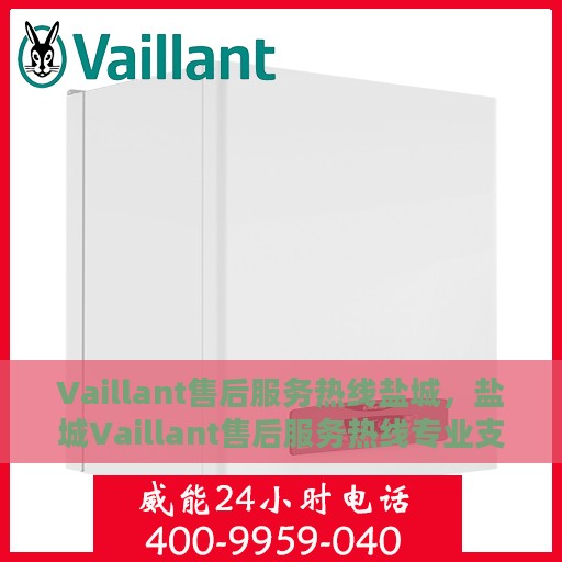 Vaillant售后服务热线盐城，盐城Vaillant售后服务热线专业支持团队