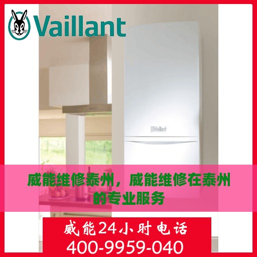 威能维修泰州，威能维修在泰州的专业服务