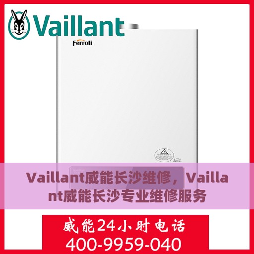 Vaillant威能长沙维修，Vaillant威能长沙专业维修服务