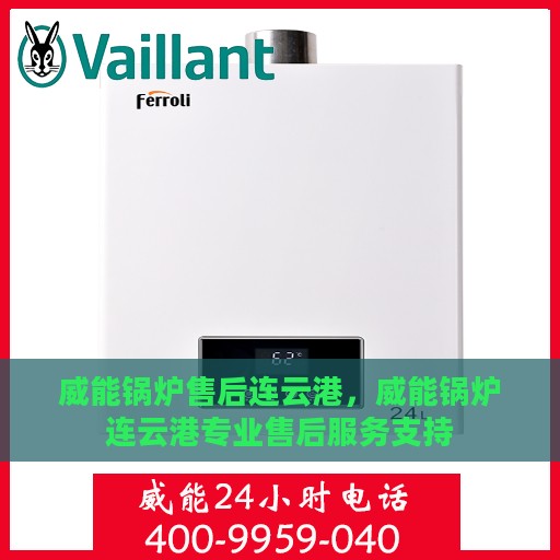威能锅炉售后连云港，威能锅炉连云港专业售后服务支持