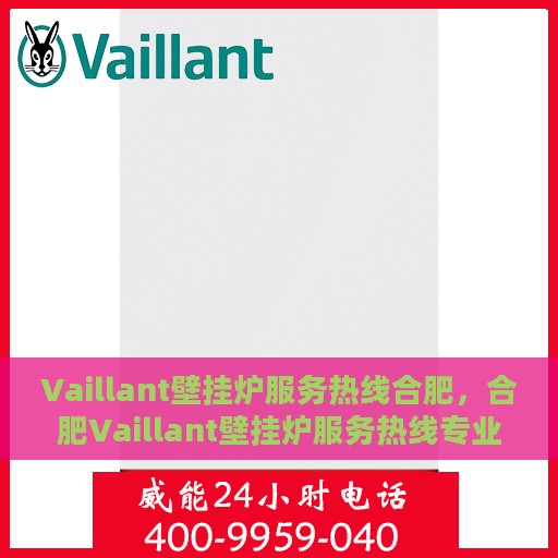 Vaillant壁挂炉服务热线合肥，合肥Vaillant壁挂炉服务热线专业支持团队