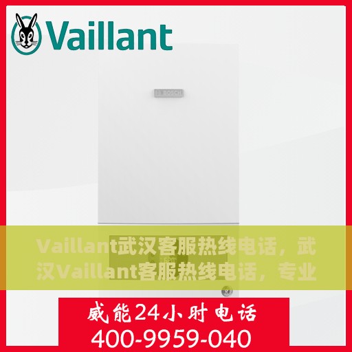 Vaillant武汉客服热线电话，武汉Vaillant客服热线电话，专业支持与解决方案的贴心通道