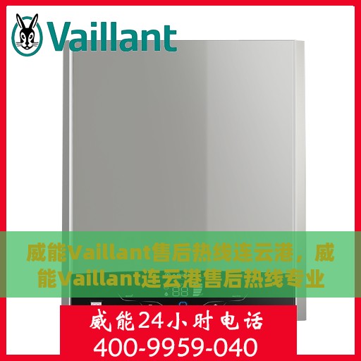 威能Vaillant售后热线连云港，威能Vaillant连云港售后热线专业服务解析