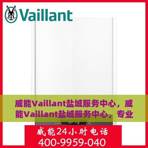 威能Vaillant盐城服务中心，威能Vaillant盐城服务中心，专业维修与优质服务并重