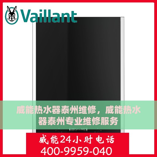 威能热水器泰州维修，威能热水器泰州专业维修服务