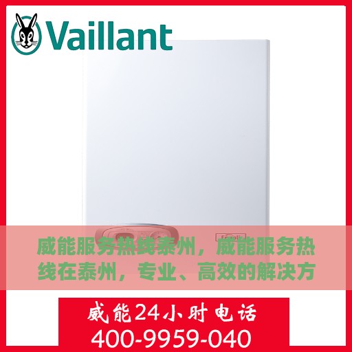 威能服务热线泰州，威能服务热线在泰州，专业、高效的解决方案提供商