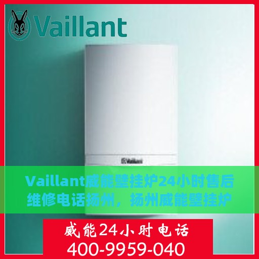 Vaillant威能壁挂炉24小时售后维修电话扬州，扬州威能壁挂炉全天候售后维修服务热线及解决方案