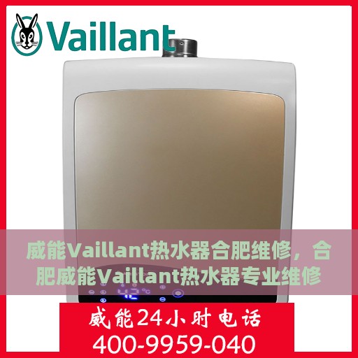 威能Vaillant热水器合肥维修，合肥威能Vaillant热水器专业维修服务