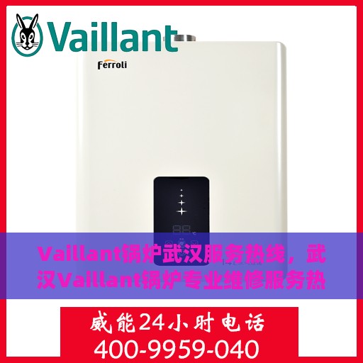 Vaillant锅炉武汉服务热线，武汉Vaillant锅炉专业维修服务热线，高效快捷的锅炉维护与保养解决方案