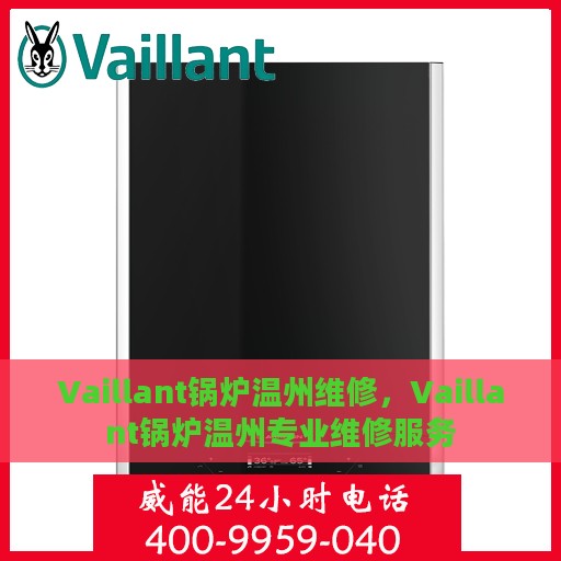 Vaillant锅炉温州维修，Vaillant锅炉温州专业维修服务