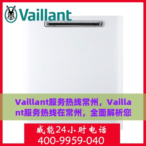 Vaillant服务热线常州，Vaillant服务热线在常州，全面解析您的需求与疑虑