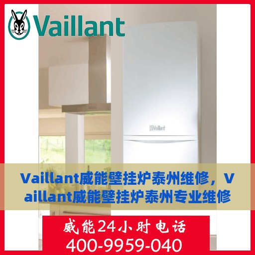 Vaillant威能壁挂炉泰州维修，Vaillant威能壁挂炉泰州专业维修服务