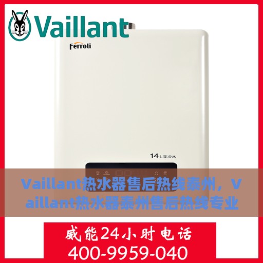 Vaillant热水器售后热线泰州，Vaillant热水器泰州售后热线专业服务，解决您的热水器问题