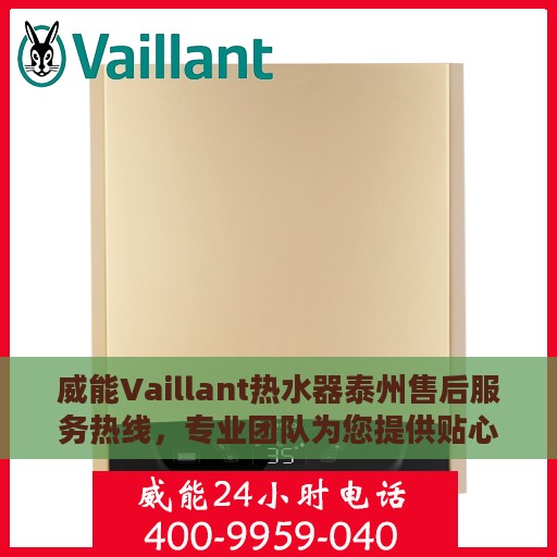 威能Vaillant热水器泰州售后服务热线，专业团队为您提供贴心服务