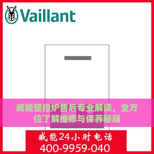 威能壁挂炉售后专业解读，全方位了解维修与保养秘籍