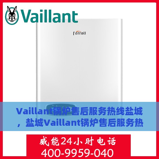 Vaillant锅炉售后服务热线盐城，盐城Vaillant锅炉售后服务热线，专业维修与关怀一站式解决