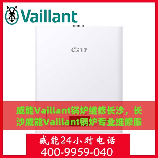 威能Vaillant锅炉维修长沙，长沙威能Vaillant锅炉专业维修服务