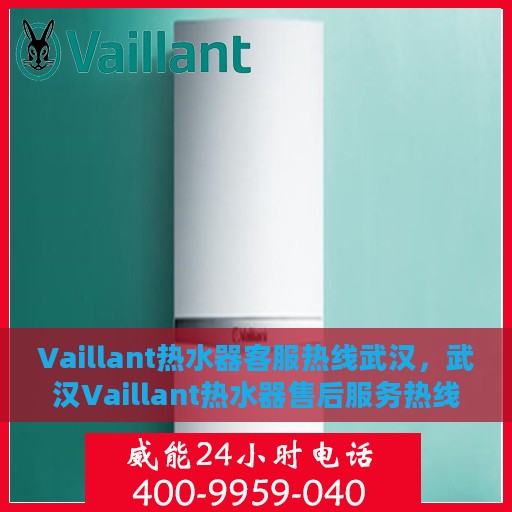 Vaillant热水器客服热线武汉，武汉Vaillant热水器售后服务热线全面解析