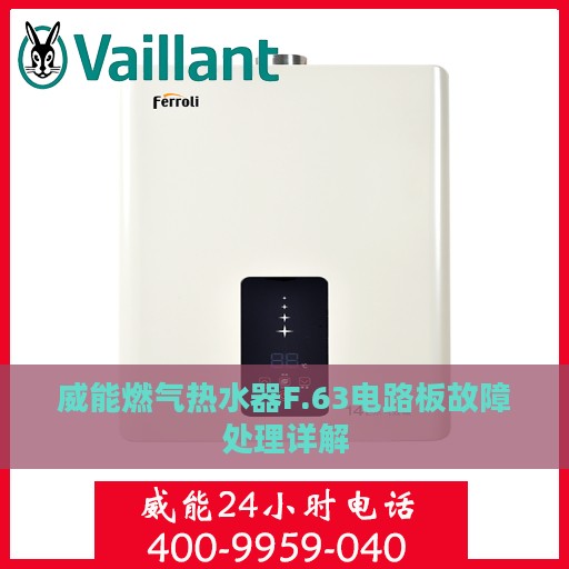 威能燃气热水器F.63电路板故障处理详解