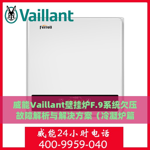 威能Vaillant壁挂炉F.9系统欠压故障解析与解决方案（冷凝炉篇）