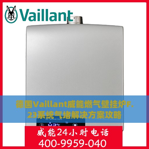 德国Vaillant威能燃气壁挂炉F.23系统气堵解决方案攻略