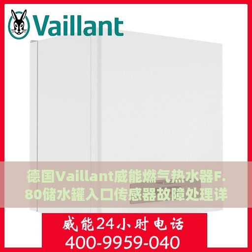 德国Vaillant威能燃气热水器F.80储水罐入口传感器故障处理详解