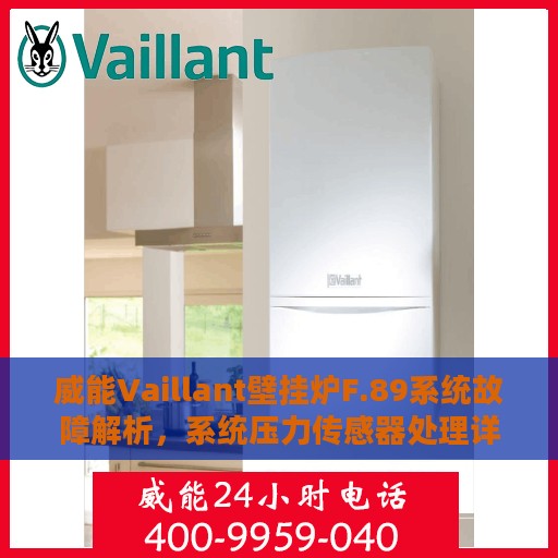 威能Vaillant壁挂炉F.89系统故障解析，系统压力传感器处理详解