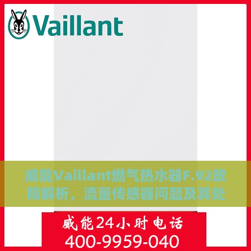威能Vaillant燃气热水器F.92故障解析，流量传感器问题及其处理指南