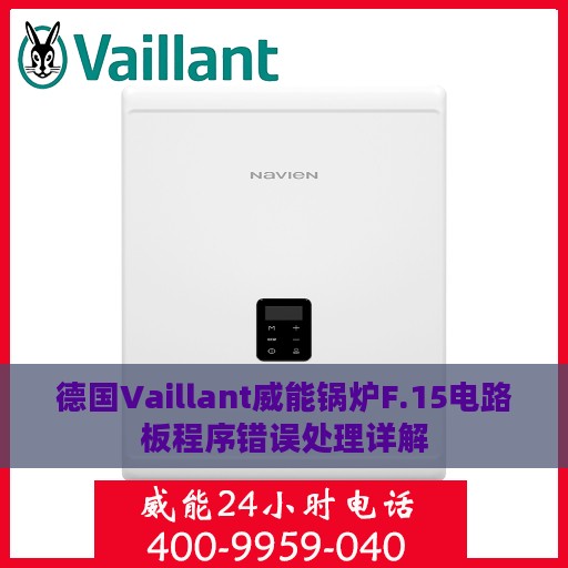 德国Vaillant威能锅炉F.15电路板程序错误处理详解
