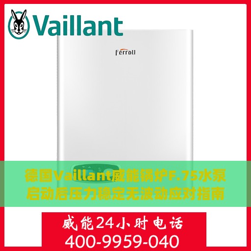 德国Vaillant威能锅炉F.75水泵启动后压力稳定无波动应对指南