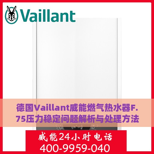 德国Vaillant威能燃气热水器F.75压力稳定问题解析与处理方法指南