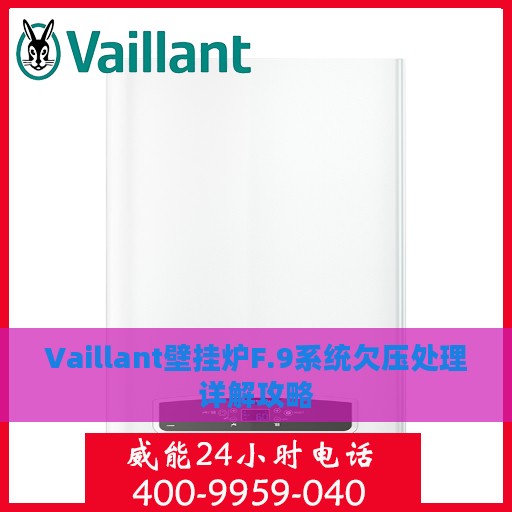 Vaillant壁挂炉F.9系统欠压处理详解攻略