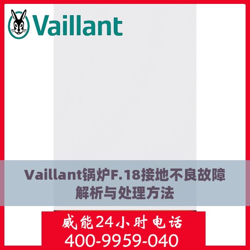 Vaillant锅炉F.18接地不良故障解析与处理方法