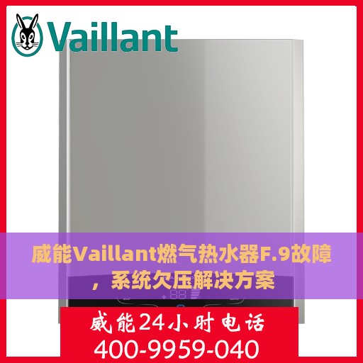 威能Vaillant燃气热水器F.9故障，系统欠压解决方案