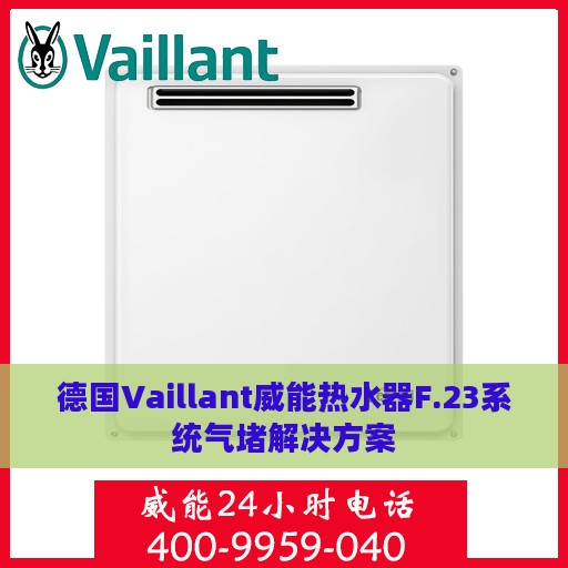德国Vaillant威能热水器F.23系统气堵解决方案