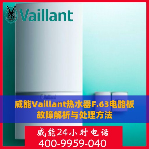 威能Vaillant热水器F.63电路板故障解析与处理方法