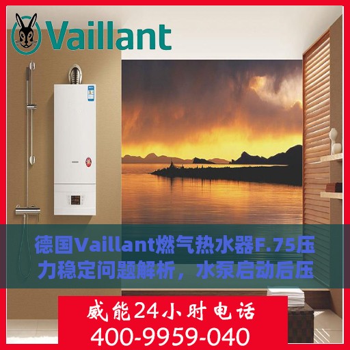 德国Vaillant燃气热水器F.75压力稳定问题解析，水泵启动后压力无波动如何应对